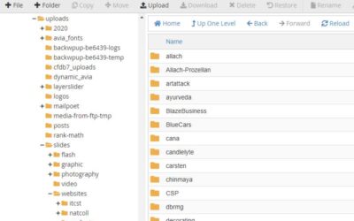 How to create and maintain a custom folder structure in WordPress