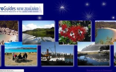 ProGuides Flash Intro Animation