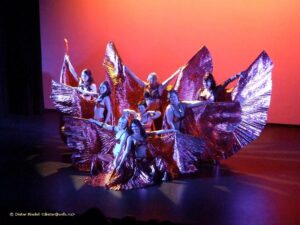 Belly Dance performance