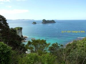 Hahai coast, New Zealand;