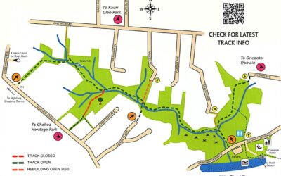 Landscape or Bush Reserve Virtual Tour